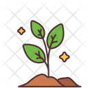 Plant Leaves Agriculture Icon