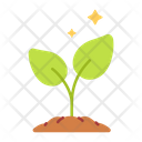 Ecology Plant Tree Icon