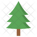 Plant Christmas Tree Tree Icon
