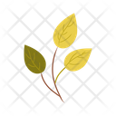 Branch Plant Leaves Icon