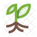 Plant Garden Herb Icon