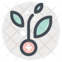 Plant Research Growth Icon