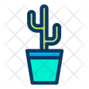 Cacti Cactus Cactus Plant Icon