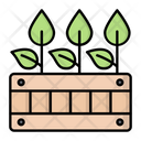 Plant Box  Icon