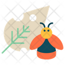 Plant Bug Icon