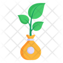 Plant Burlap Icon
