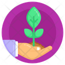 Plant Care Icon