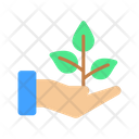 Plant Care Plant Growth Growth Icon