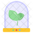 Plant Culture Icon