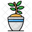 Plant Grow Icon