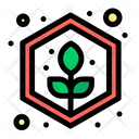 Plant Grow Icon