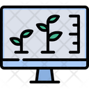 Plant Grow Analysis Icon