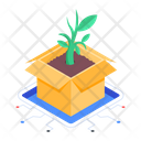Plant Growing  Icon