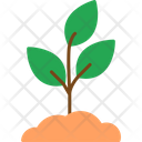 Plant Grows Icon