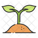 Growth Plant Growth Plant Icon