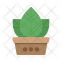 Plant in Pot Icon