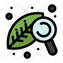 Plant Investigation Research Leaf Icon