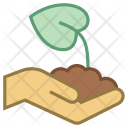 Plant leaf Icon