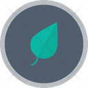 Plant Leaf Icon