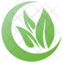 Plant Leaves Logo Leaves Leaves Logo Icon