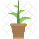 Plant Pot  Icon