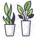 Plant Pot  Icon