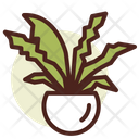 Plant Pot  Icon
