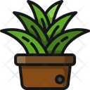 Plant Pot Garden Clay Icon