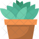 Plant Pot Icon