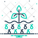 Plant Seed  Icon