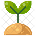 Plant Nature Sapling Icon