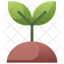 Plant Seeding Icon