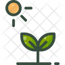 Plant Seeding Photosynthesis Icon