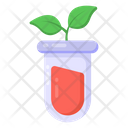 Culture Plant Plant Tube Plant Test Icon