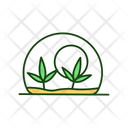 Terrarium Plant Cactus Icon