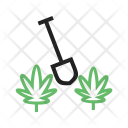 Plantation Plant Seed Icon