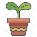 Planted Pots Icon