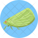 Planthopper Fly Bugs Icon