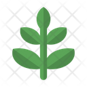 Plants  Icon