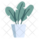 Plants Pot Leaf Icon