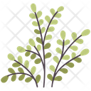 Plants Leaf Spring Icon