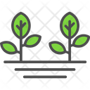 Plants Agronomy Growth Icon