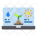 Laptop Plants Water Icon
