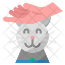 Playing With Pet Cat Pet Icon
