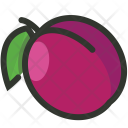 Plum Fruit Icon