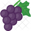 Plum Purple Fruit Icon