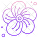Plum Blossom Icon