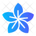 Plumeria Flower Icon