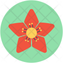 Poinsettia Flower Christmas Icon