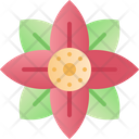Poinsettia Flower Floral Icon